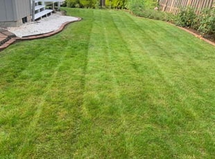 Lee M.'s Lawn Care service result