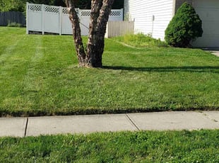 Andy G.'s Lawn Service service result