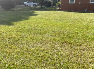Mike A.'s Lawn Care service result