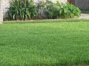 Cleanups by Jay Dea for Patricia O. in Houston, TX
