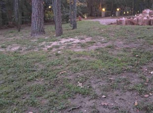 Leaf Removal by Johanna Stone for Laura A. in Conroe, TX