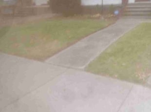 Leaf Removal by Rayshawn Martin for Sheila M. in Cleveland, OH
