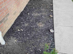 Weeding by Dywane Clarke for Jillian P. in Reynoldsburg, OH