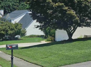 Tameka L.'s Yard Cutting service result