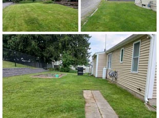 Jennifer B.'s Lawn Care service result