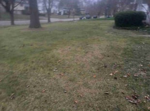 Leaf Removal by Shane Chabot for John L. in Columbus, OH