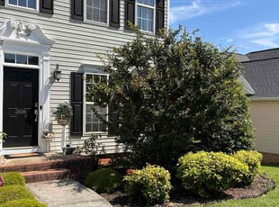 Candi H.'s Yard Cutting service result