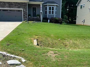 Grant D.'s Lawn Mowing service result
