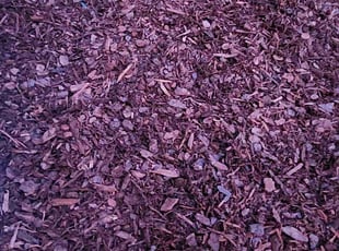 Landscaping by Pedro Guity for Jazzy O. in Durham, NC