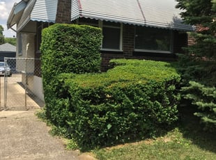 Bush Trimming by Nakell Williams for Shalon P. in Cincinnati, OH