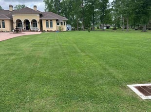 Jorge C.'s Lawn Care service result