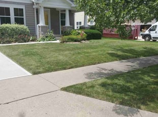 Danya V.'s Grass Cutting service result