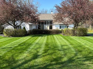 Molly A.'s Lawn Mowing Service service result