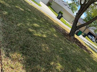 Leaf Removal by Randy (RJ) Patrizz Jr. for Jessica M. in Orlando, FL
