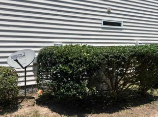 Jeff F.'s Bush Trimming service result
