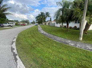 Ryan M.'s Lawn Care service result