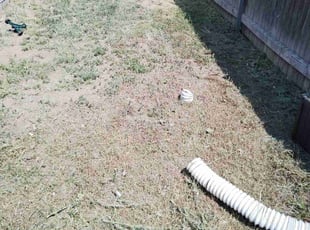 Cleanups by Mohamed Hassan Jimenez for Dan R. in Lakewood, CO