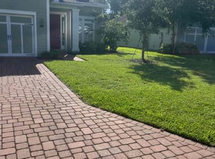 Mai D.'s Lawn Care service result