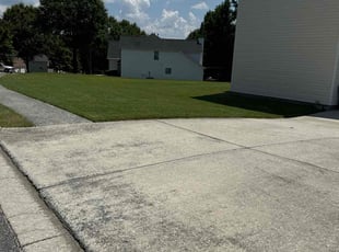 Denise S.'s Lawn Mowing service result