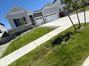 BellaFoods A.'s Lawn Mowing service result