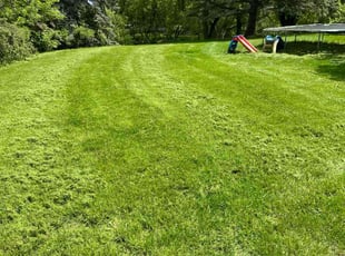 Bev S.'s Lawn Mowing Service service result