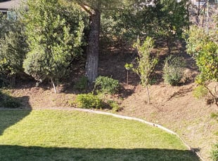 Bush Trimming by Jose Martinez for Virginia N. in Glendale, CA