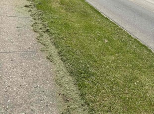 Jane B.'s Lawn Care service result