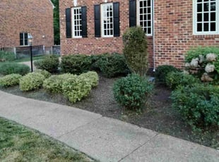 Bush Trimming by Johnny Richardson for Oscar W. in Glen Allen, VA