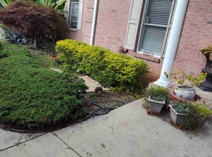 Jania s.'s Bush Trimming service result