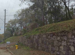 Bush Trimming by Mike Gulley for David K. in Birmingham, AL