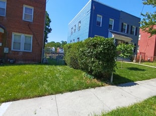 Bush Trimming by Jose Paz for Dorothy S. in Washington, DC