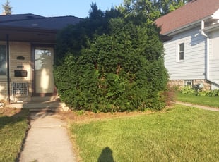 Bush Trimming by Orlando Perea for Arric R. in West Allis, WI