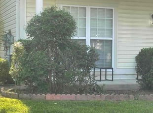 Bush Trimming by Donald Tucker for Justin M. in Dumfries, VA