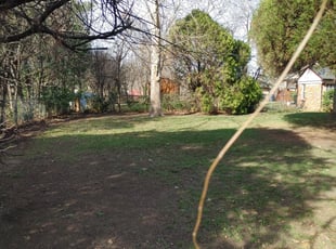 Leaf Removal by Jason Nash for Richard R. in Fort Worth, TX