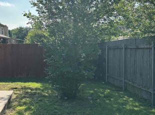 Bush Trimming by Dontrey Chambers for Sheryl L. in Pflugerville, TX
