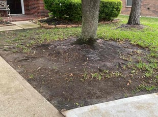 Leaf Removal by Juan Wong for Nancy F. in Tomball, TX