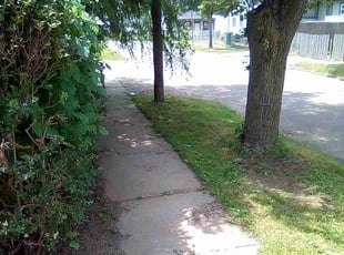 Bush Trimming by Destin Rouse for Nilesha P. in Rochester, NY