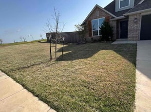 Bush Trimming by Misti Jefferies for Kay M. in Norman, OK