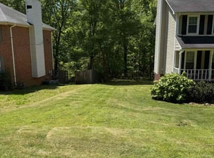 Cameron F.'s Lawn Mowing Service service result