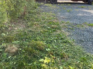 Cleanups by Thomas Fador for Andrea L. in Dundalk, MD
