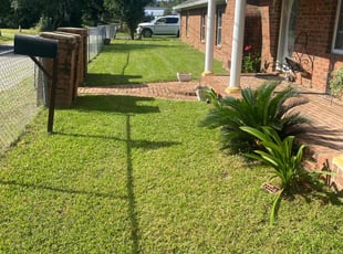 Henry M.'s Grass Cutting service result