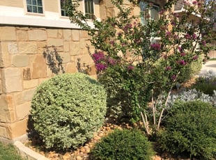 Bush Trimming by Juan Vazquez for Corey M. in San Antonio, TX