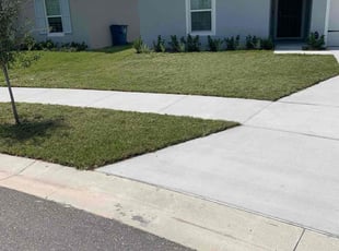 Valeria N.'s Lawn Service service result