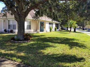 Steven W.'s Yard Cutting service result
