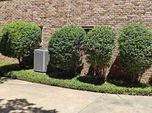 Bush Trimming by Juan Sanchez-Valdez for Mike M. in Grapevine, TX