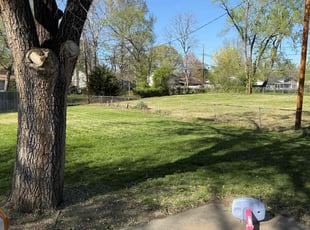 Leslie B.'s Lawn Care service result