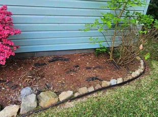 Weeding by Jay M for Keon S. in Norfolk, VA
