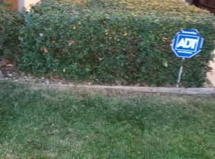 Bush Trimming by Casey Cleland for Heather M. in Elk Grove, CA