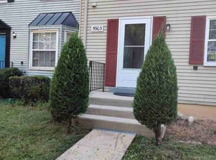 Bush Trimming by Allan Roberts for Amarilys E. in Burke, VA
