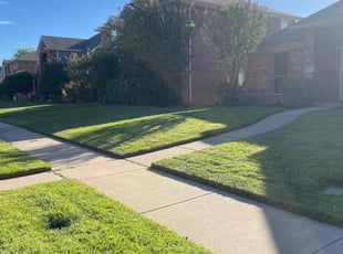 Elba S.'s Lawn Mowing service result